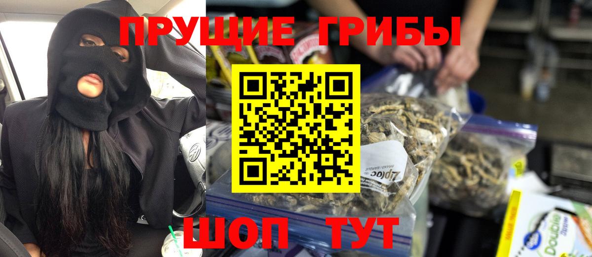 сколько стоит  Псилоцибиновые грибы GOLDEN TEACHER  Вход с VPN  Кыштым 